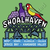 Shoalhaven Bridge design