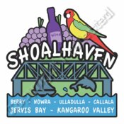 Shoalhaven Bridge design t